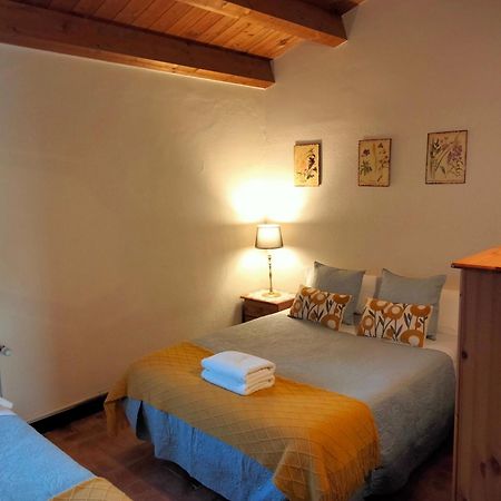 El Forn Rural Villa Montmajor Dış mekan fotoğraf